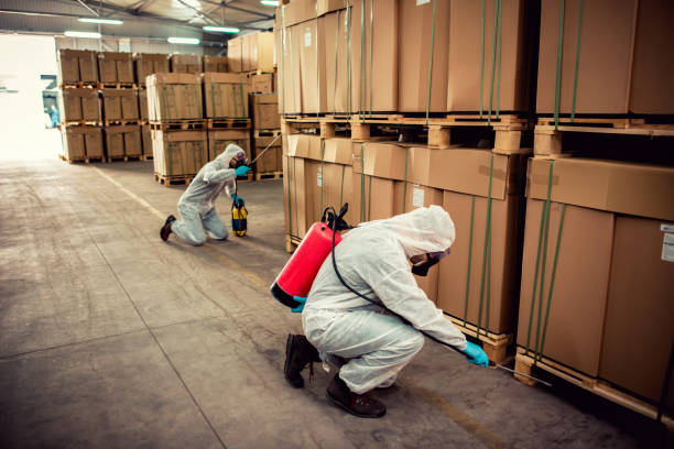 Professional Pest Control in Charles City, IA