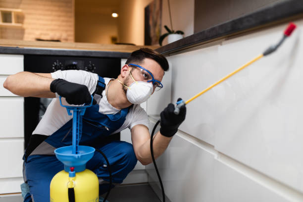 Best Pest Control Near Me in Charles City, IA