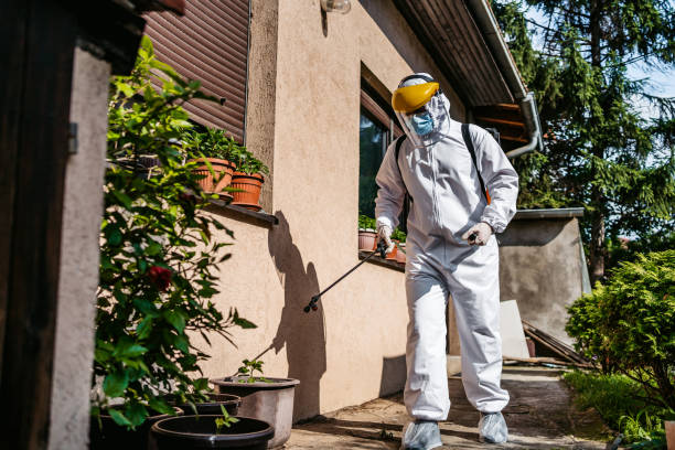 Best Pest Removal Services  in Charles City, IA