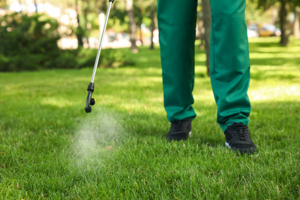 Flea Control Services in Charles City, IA