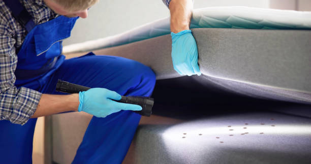 Best Wasp Removal Services  in Charles City, IA