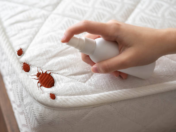 Best Emergency Pest Control  in Charles City, IA