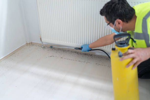 Best Residential Pest Control  in Charles City, IA