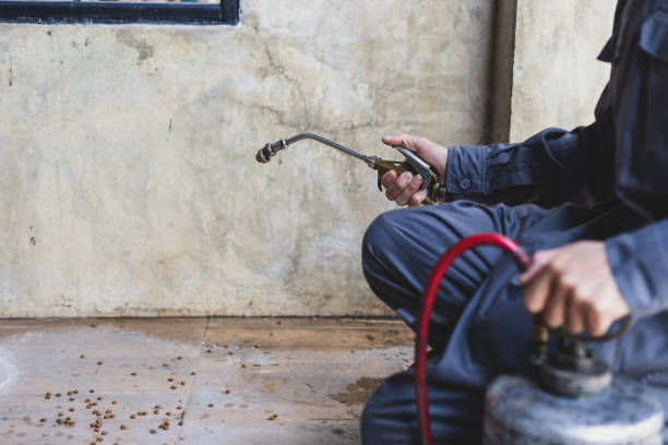 Best Rat Extermination Near Me  in Charles City, IA